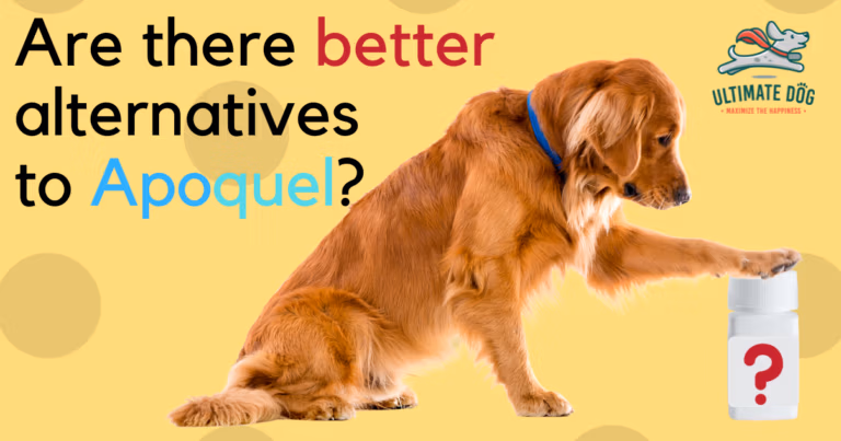 Apoquel alternatives