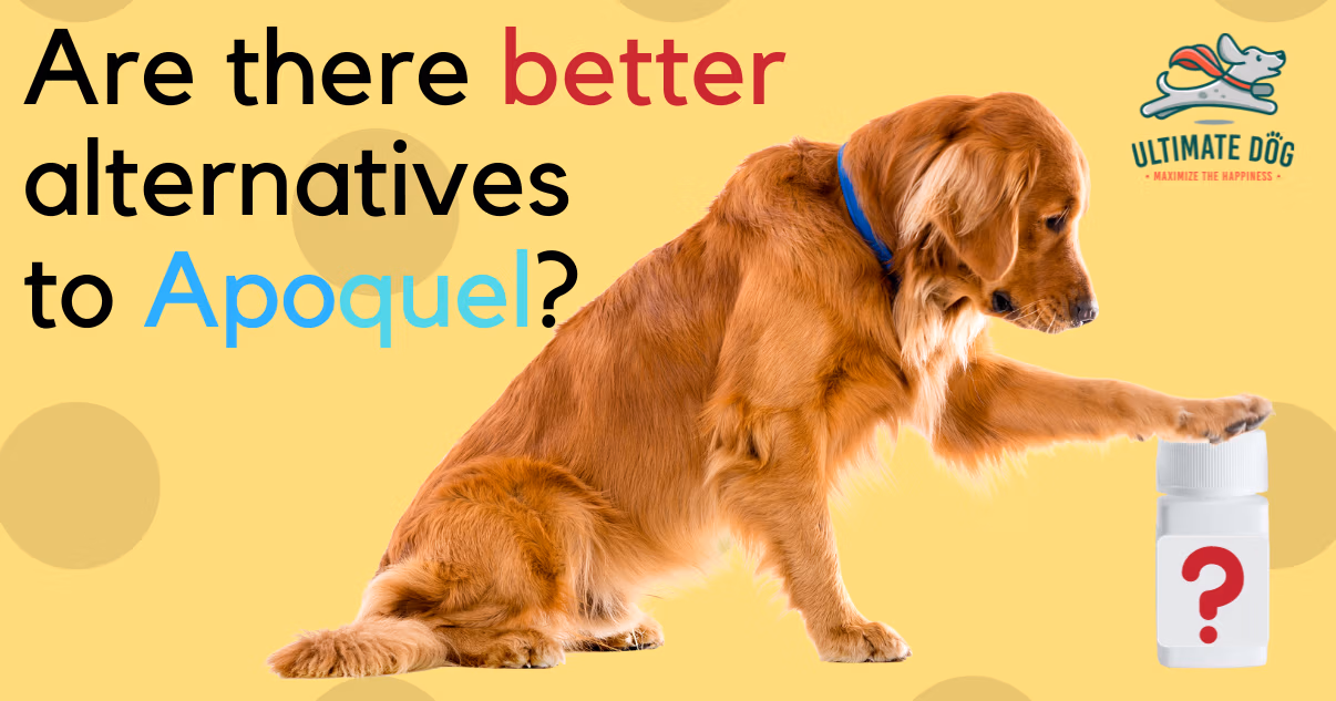 Apoquel alternatives