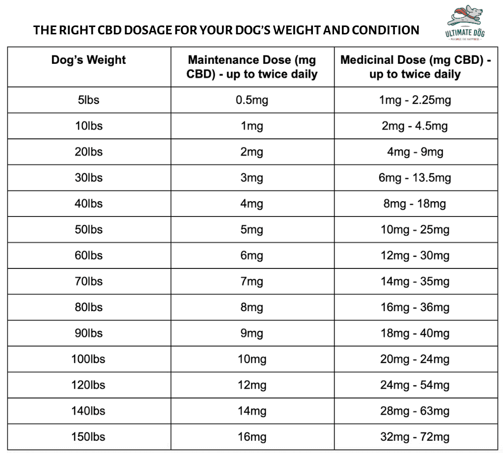 The Right CBD Dosage for Dogs Based on Weight and Condition | Ultimate Dog