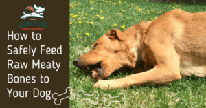 Raw bones for dogs