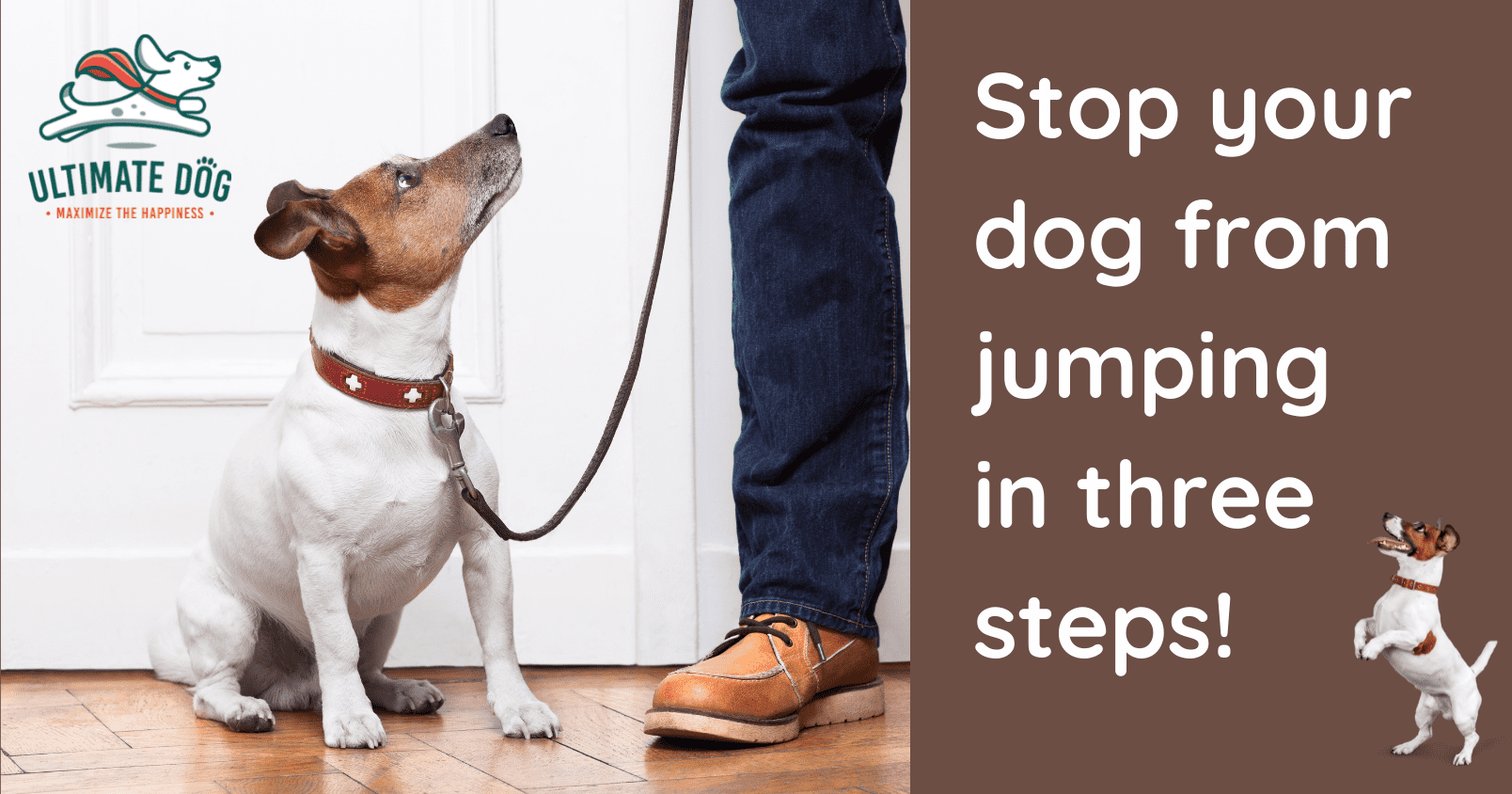 How to Train Your Dog to Stop Jumping on People Ultimate Dog