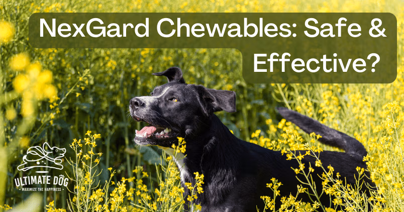 nexgard for dogs