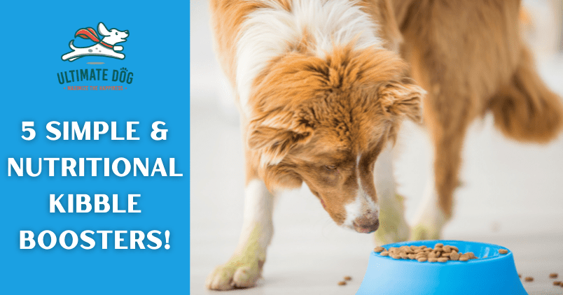 Kibble diet best sale