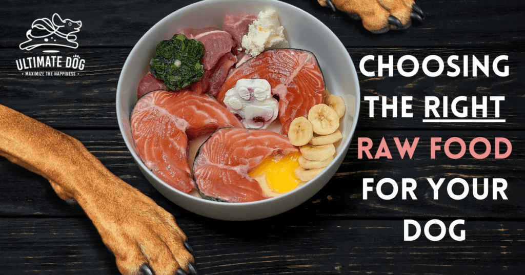 Is raw dog food good for your dog best sale