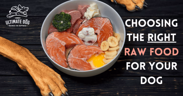 raw dog food