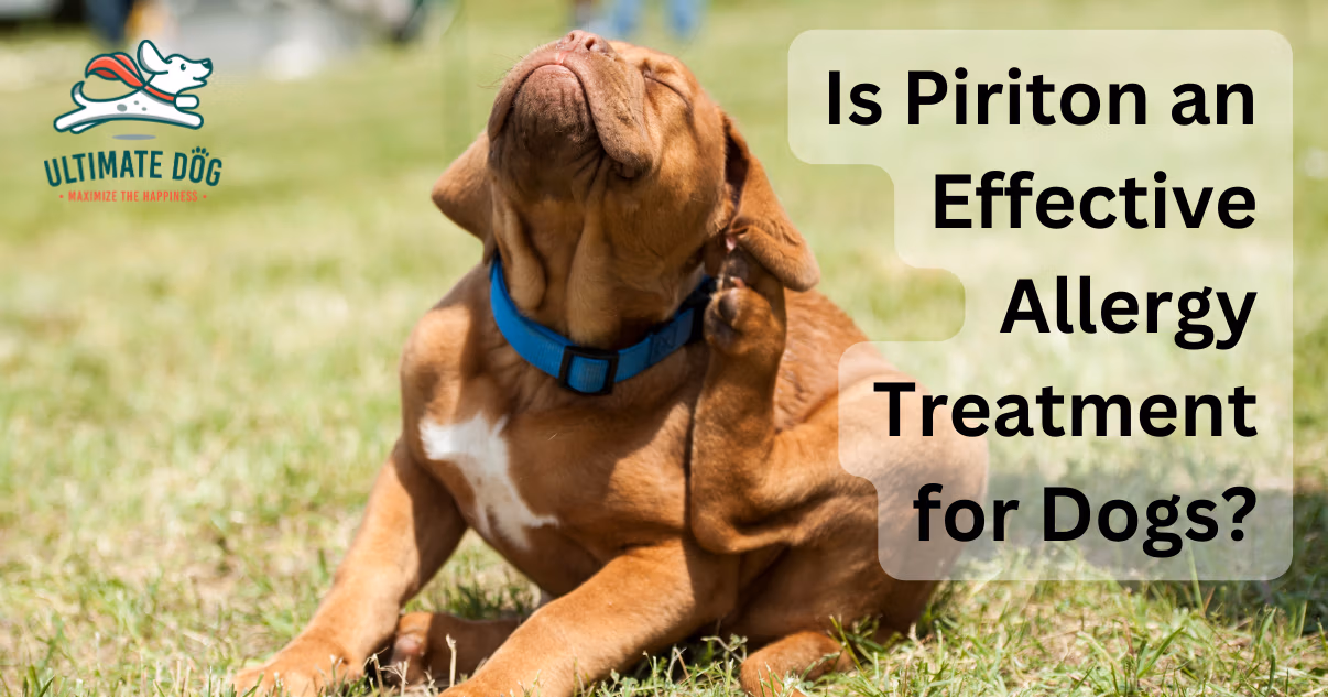 Piriton for dogs