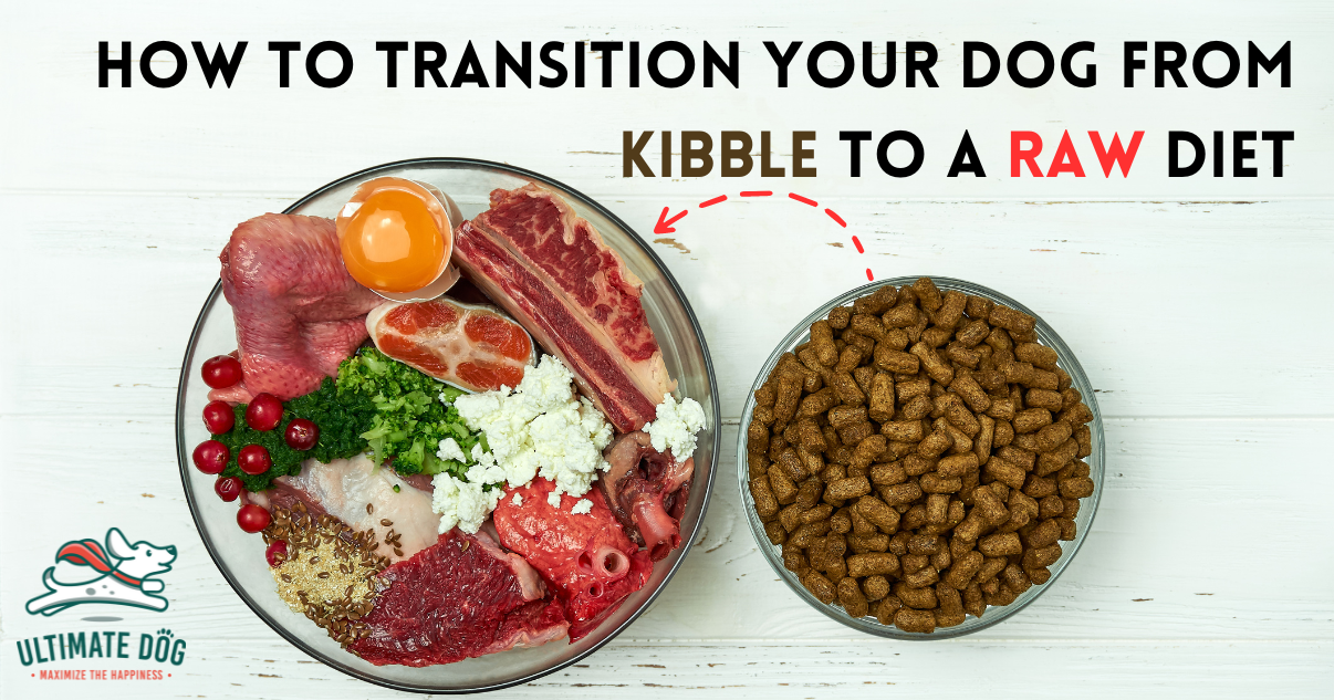 Kibble and raw diet best sale