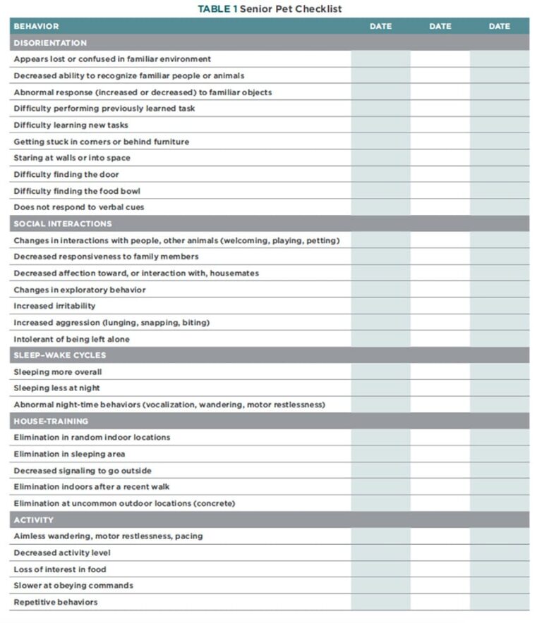 Dog Dementia: Cognitive Dysfunction Syndrome (CDS) In Aging Dogs ...
