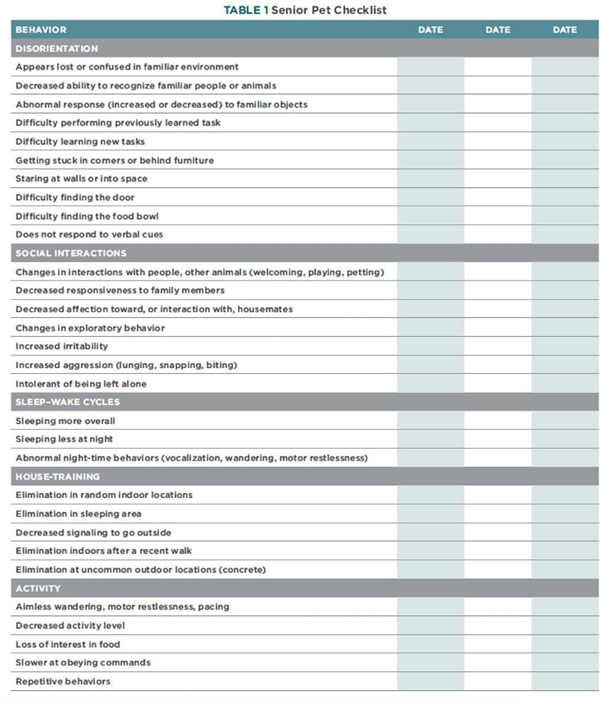 Senior pet checklist