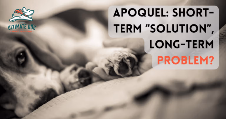 Apoquel for dogs