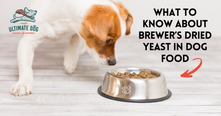 Brewers yeast for dogs