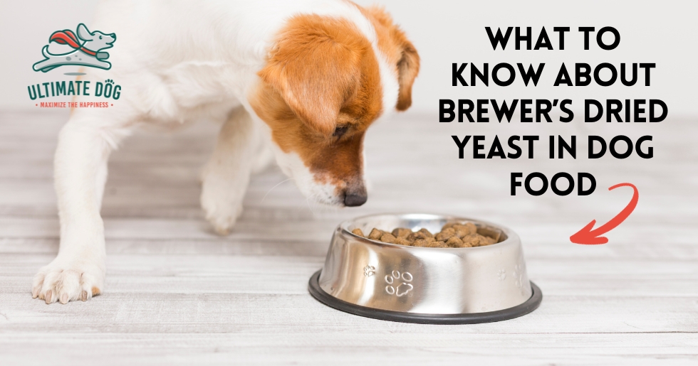 Brewer s Yeast for Dogs The Good and The Bad Ultimate Dog