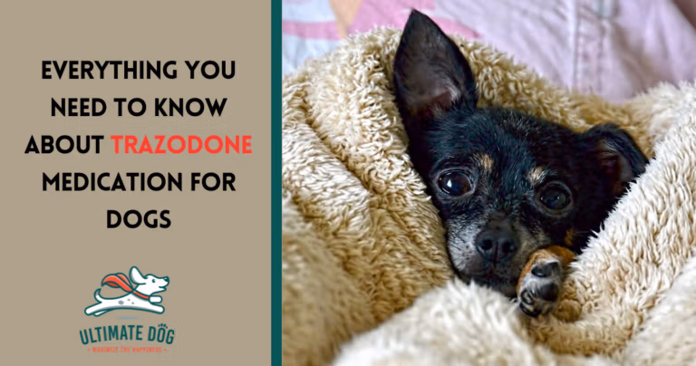Trazodone for dogs