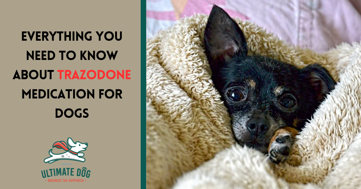 gabapentin vs trazodone for dogs side effects