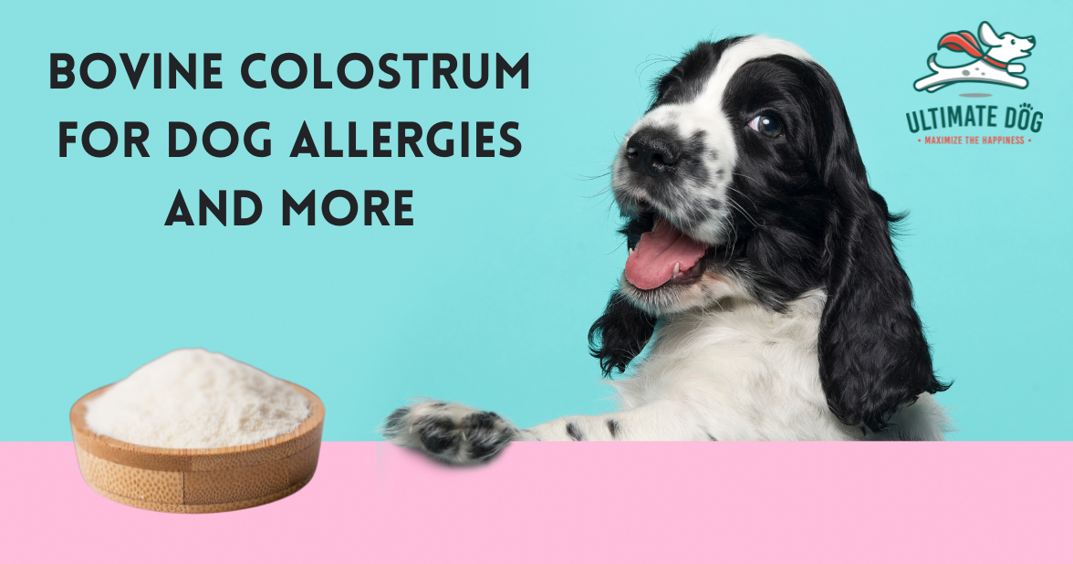 Bovine colostrum for dogs best sale