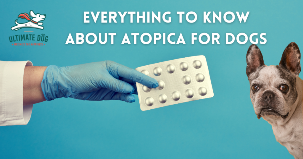 Atopica for dogs