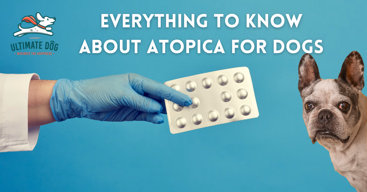 Atopica for dogs