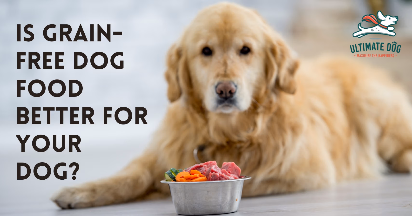 Grain-free dog food
