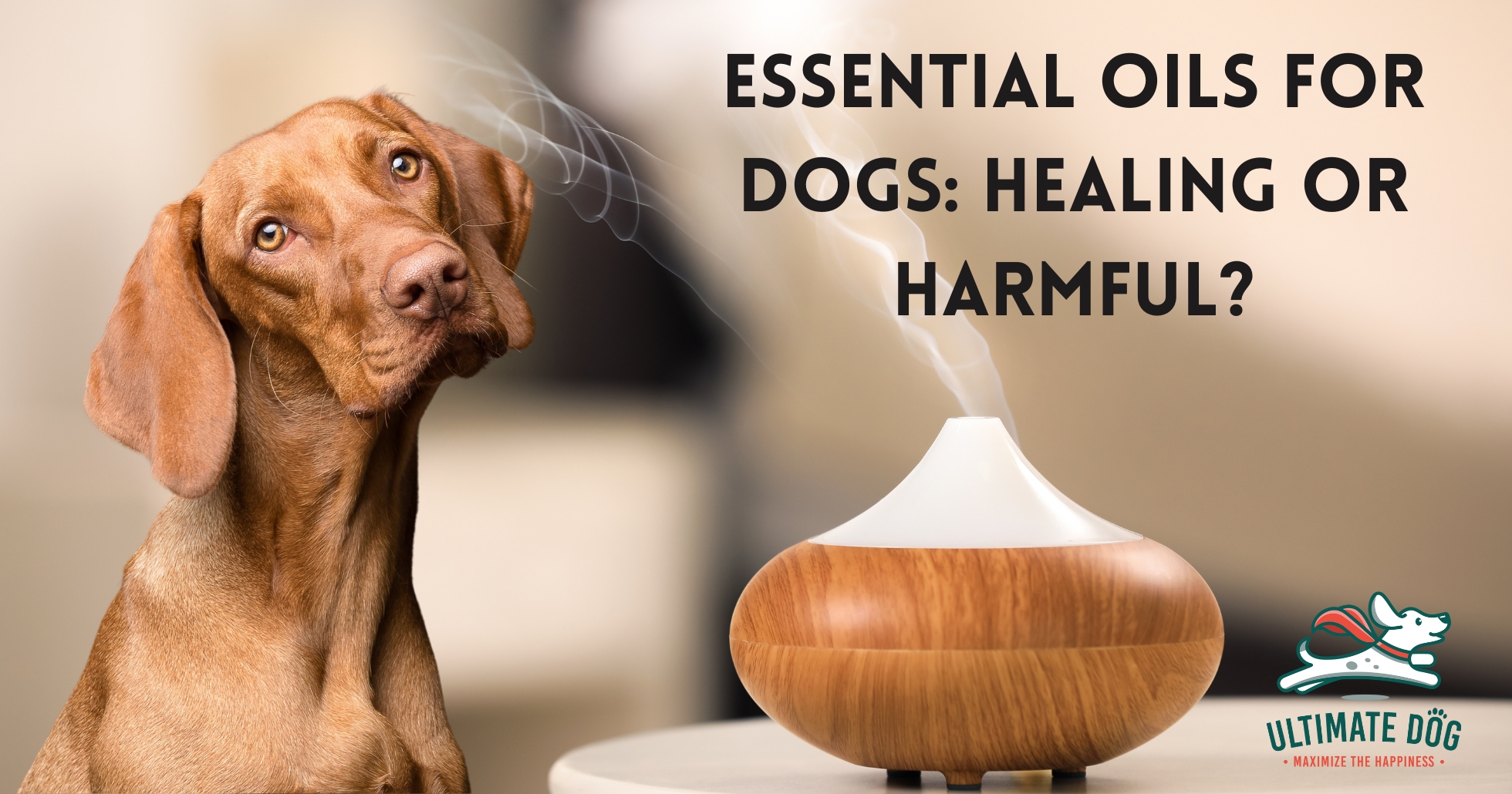 Essential oils for dogs