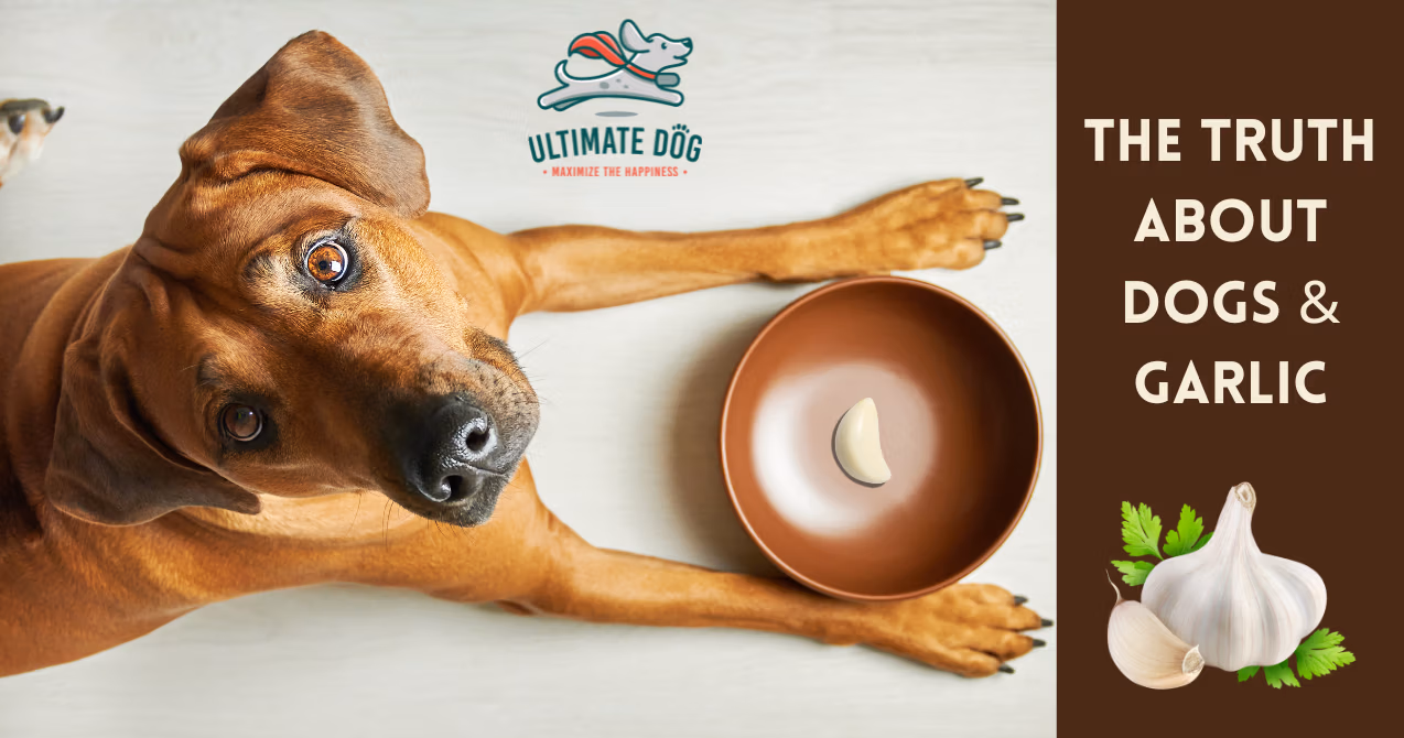Can dogs eat garlic?