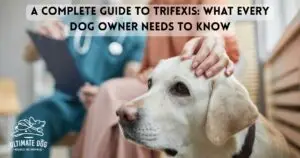 trifexis for dogs
