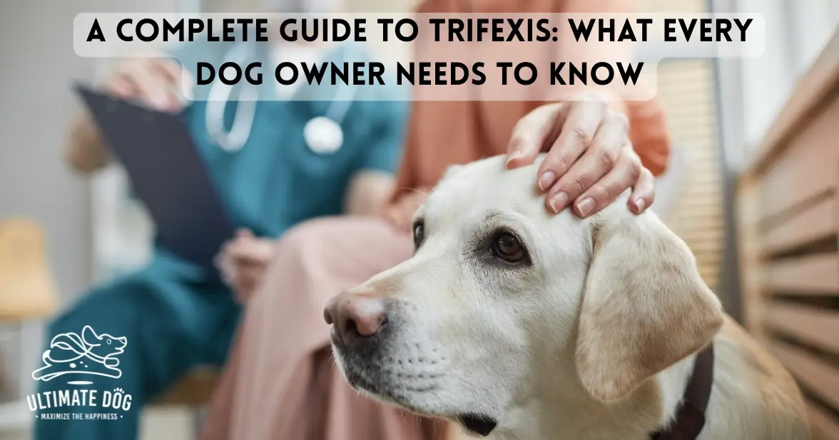 trifexis for dogs