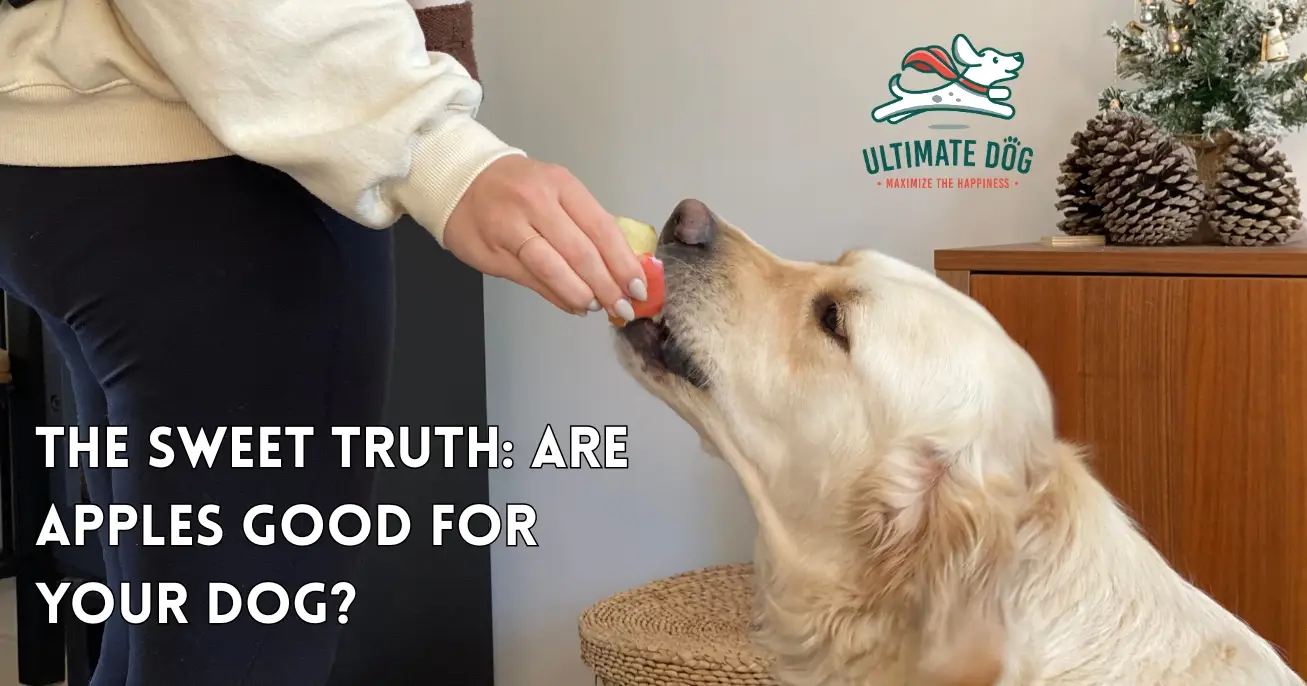 Are Apples Good For Dogs