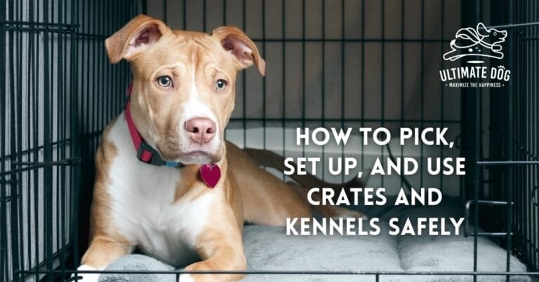 Dog kennels