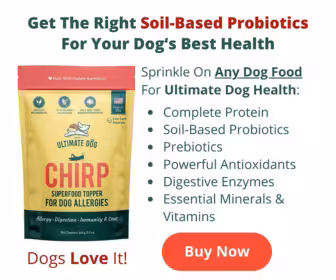 Chirp Superfood Topper With Soil-Based Probiotics