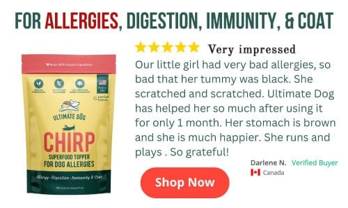 Chirp Superfood Topper With Soil-Based Probiotics
