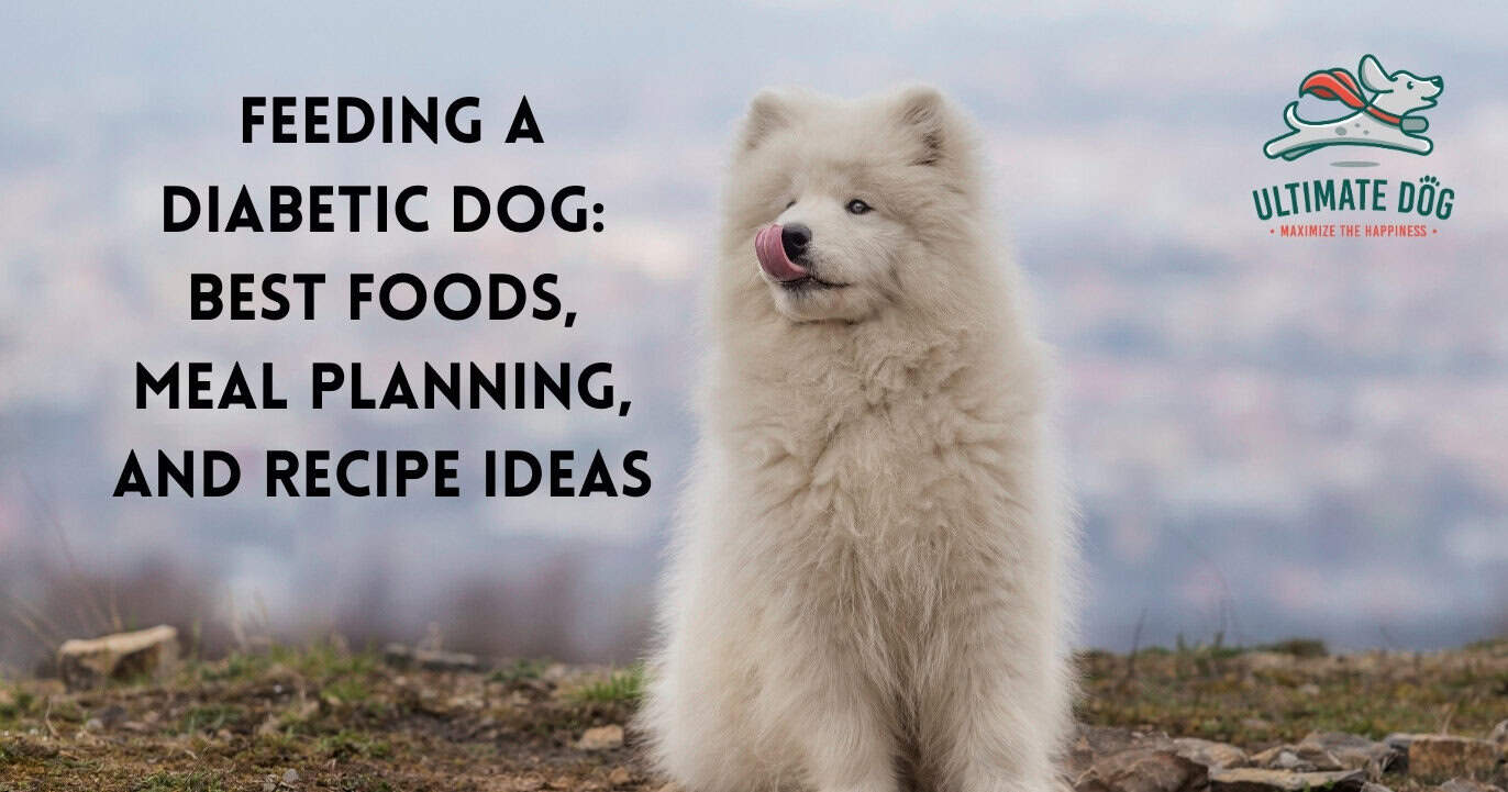 Dog Food for Diabetic Dogs