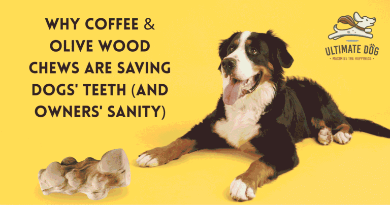 Safe wood chews for dogs