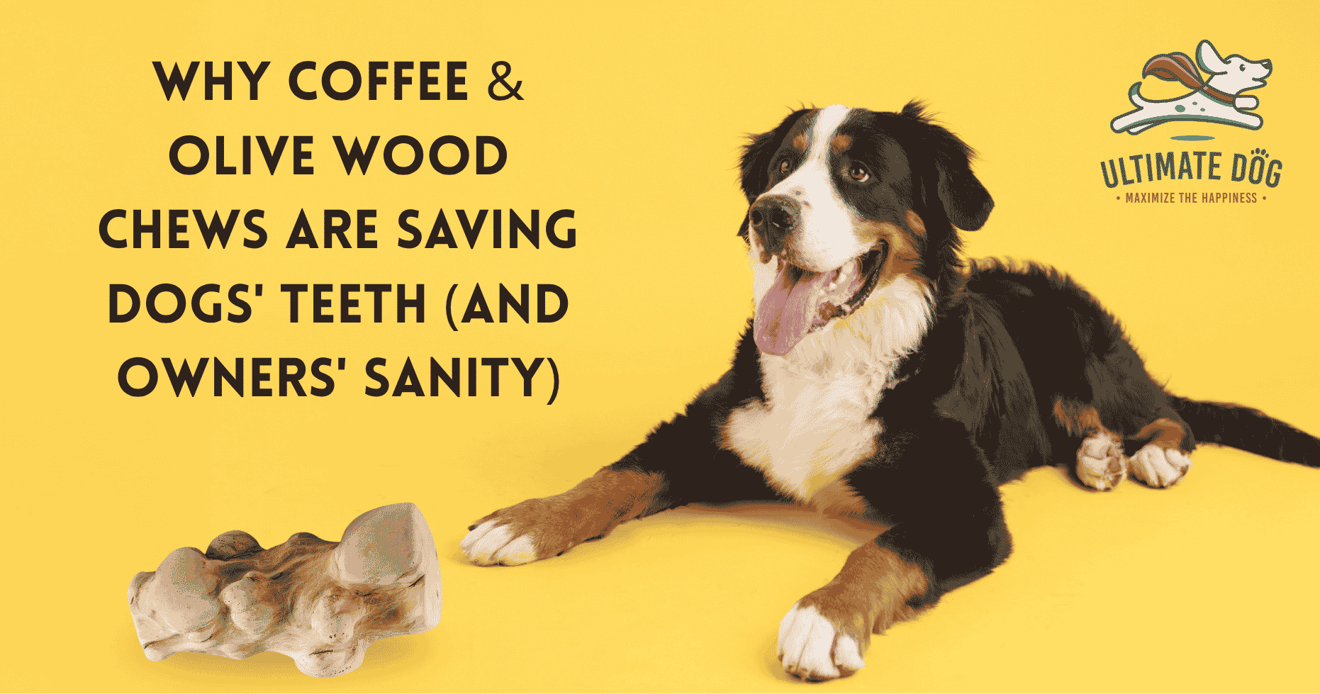 Safe wood chews for dogs