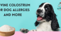 Colostrum for dogs