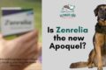 Zenrelia for dogs